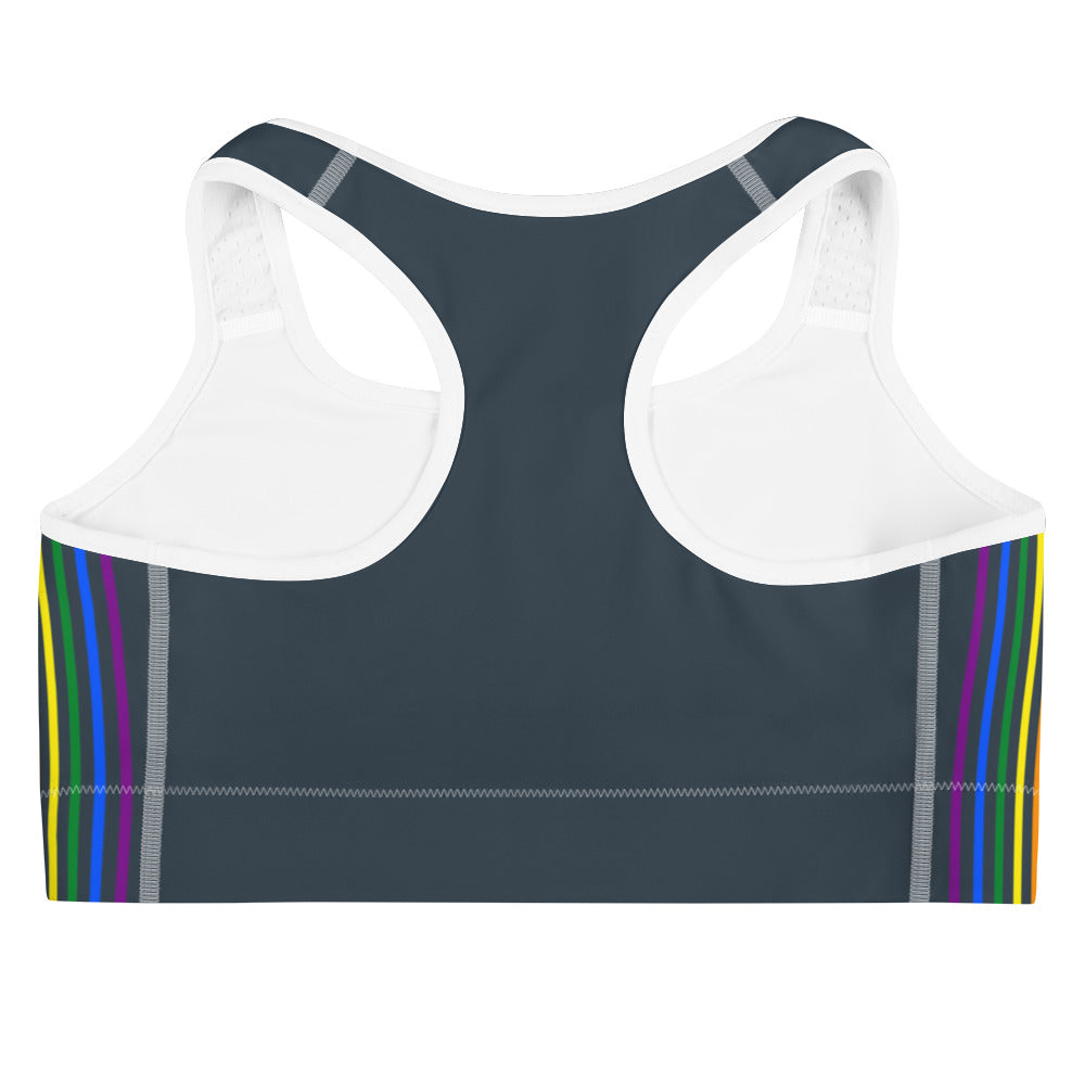 Rainbow Pride Flag Separated Stripes Sports Bra