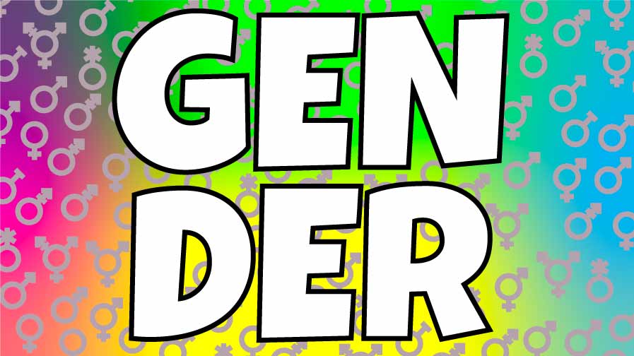 A what is gender banner with graduated pink to blue colour and gender icons spead over it and the word gender written across the centre