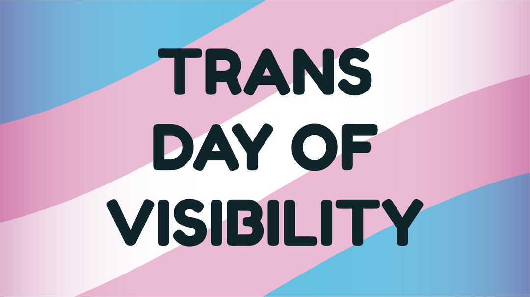 A wavy trans flag with the words trans day of visibility written over the top