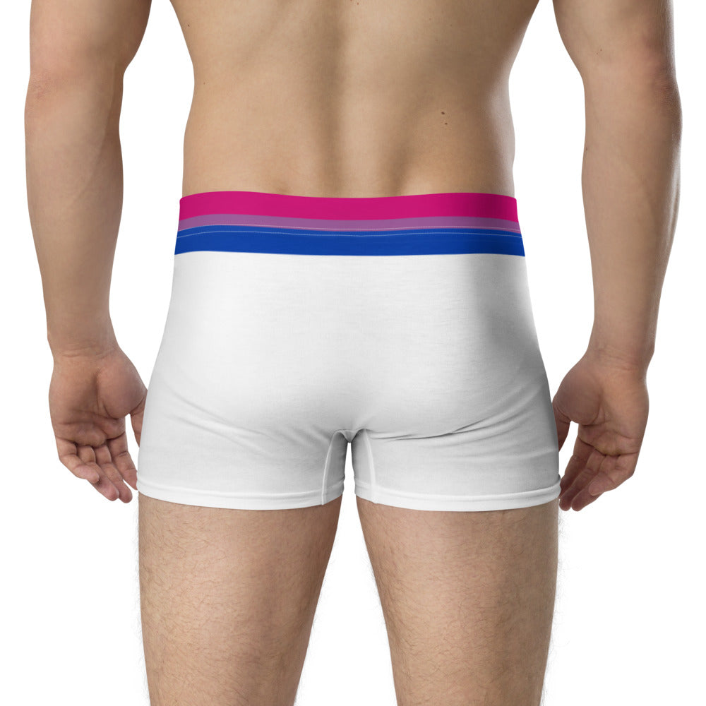 Bisexual Flag Trim Boxer Briefs Underwear The Rainbow Stores