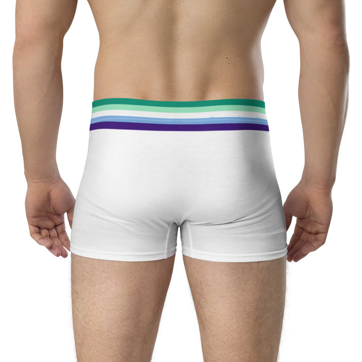 Gay Men Flag Trim Boxer Briefs Underwear The Rainbow Stores