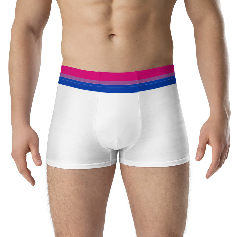 Bisexual Flag Trim Boxer Briefs Underwear The Rainbow Stores