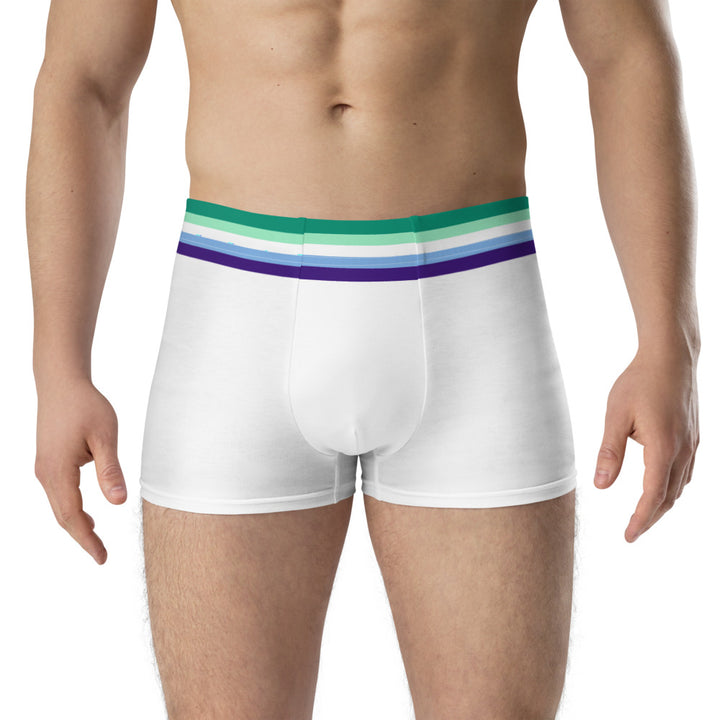 Gay Men Flag Trim Boxer Briefs Underwear The Rainbow Stores