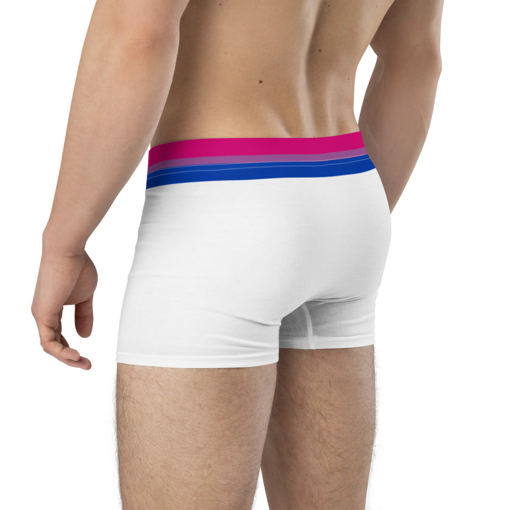 Bisexual Flag Trim Boxer Briefs Underwear The Rainbow Stores