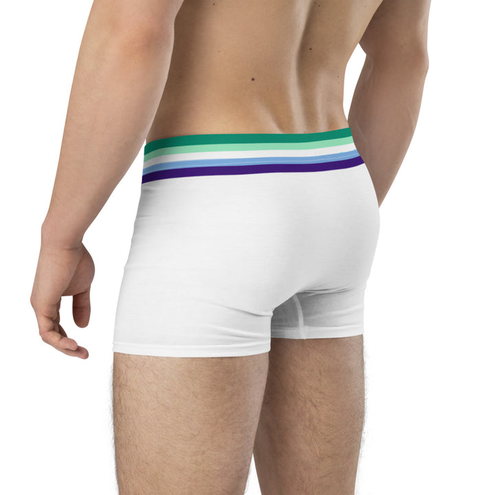 Gay Men Flag Trim Boxer Briefs Underwear The Rainbow Stores