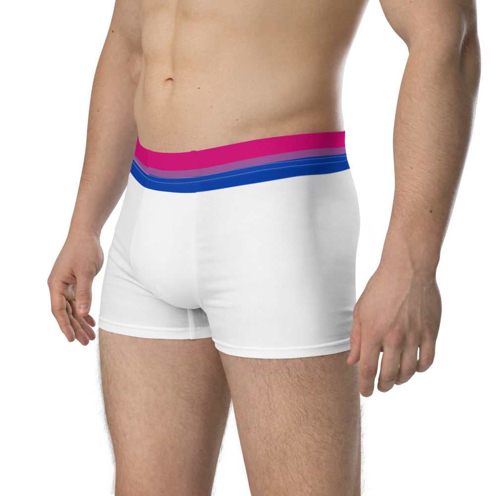 Bisexual Flag Trim Boxer Briefs Underwear The Rainbow Stores