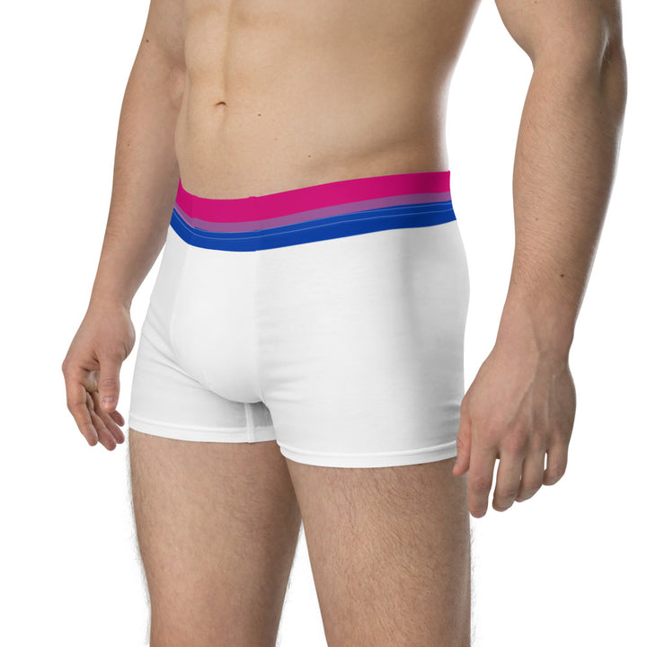 Bisexual Flag Trim Boxer Briefs Underwear The Rainbow Stores