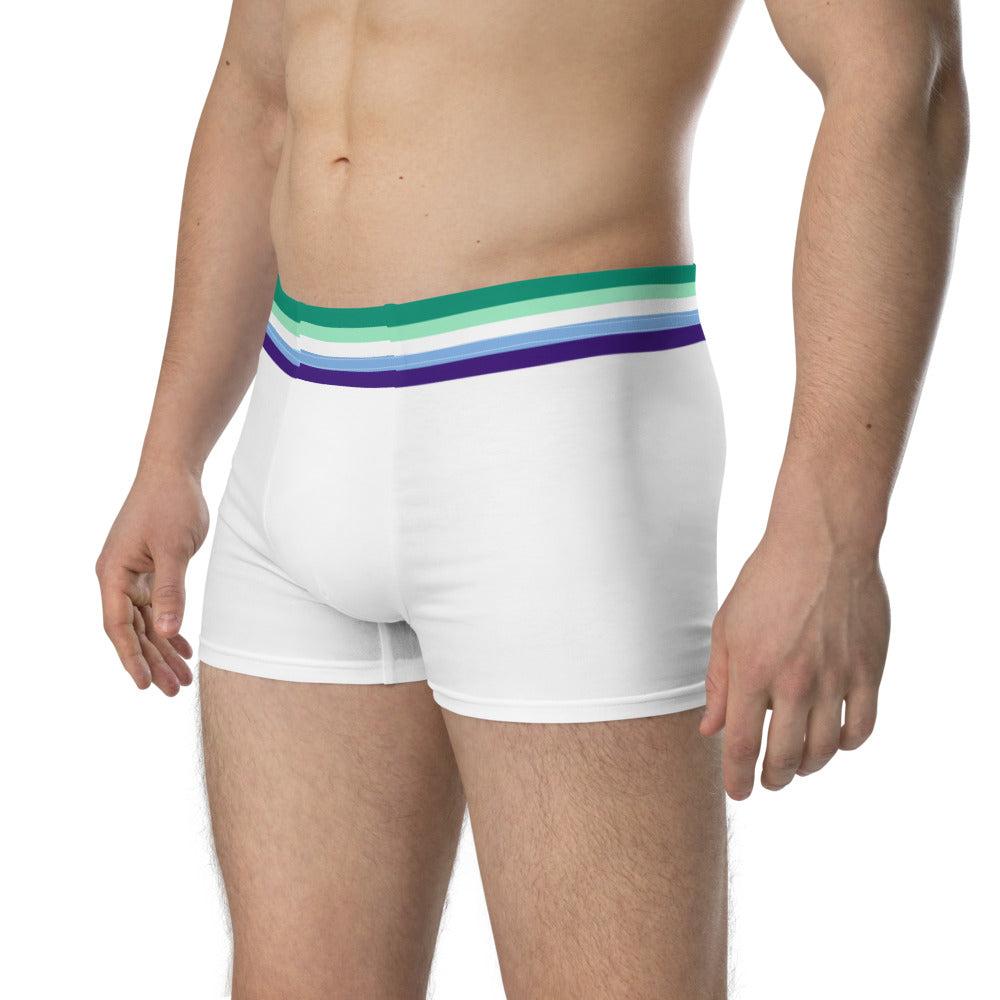 Gay Men Flag Trim Boxer Briefs Underwear The Rainbow Stores