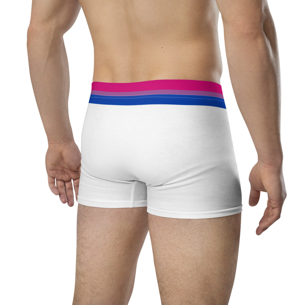 Bisexual Flag Trim Boxer Briefs Underwear The Rainbow Stores