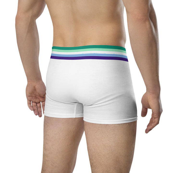 Gay Men Flag Trim Boxer Briefs Underwear The Rainbow Stores