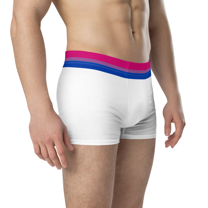 Bisexual Flag Trim Boxer Briefs Underwear The Rainbow Stores