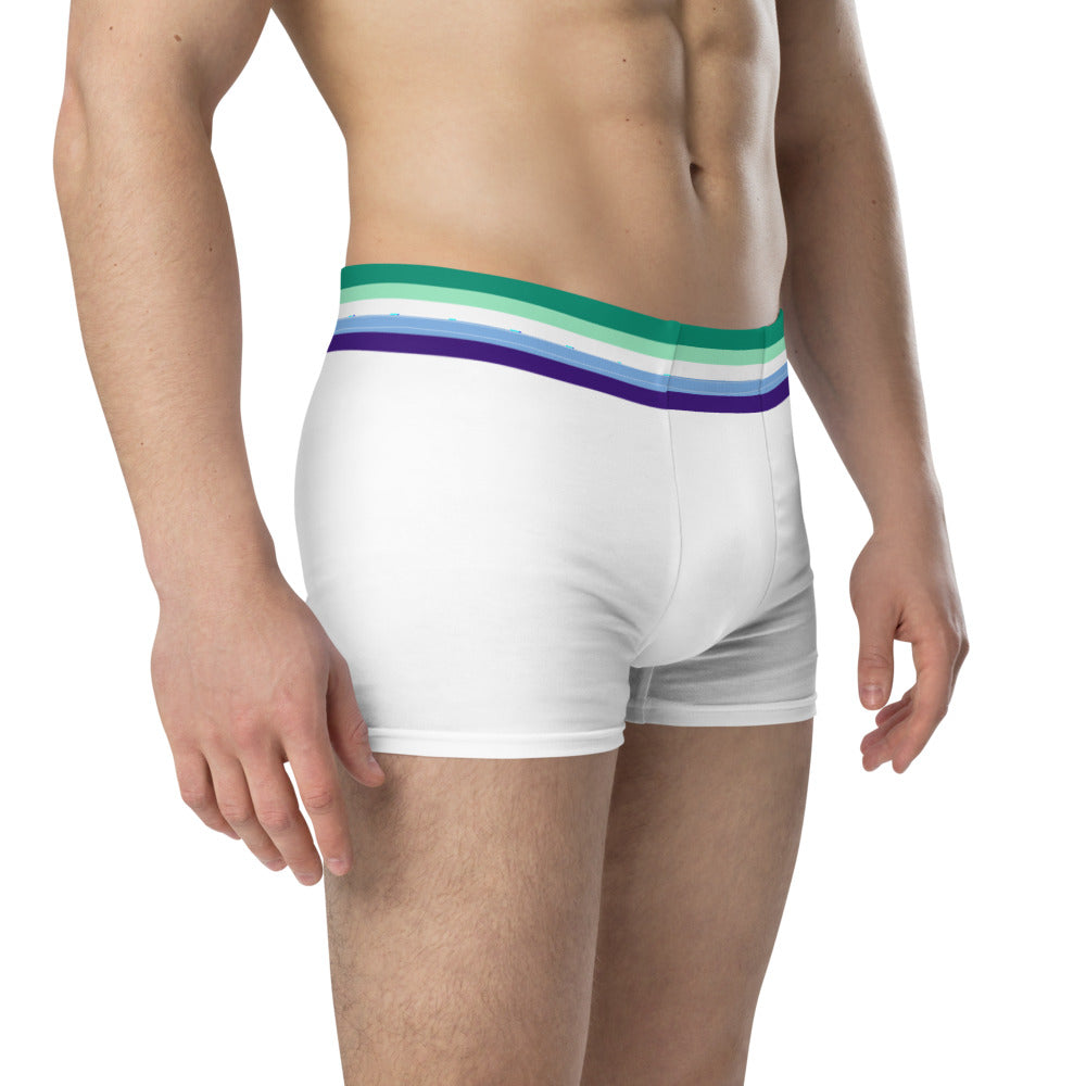 Gay Men Flag Trim Boxer Briefs Underwear The Rainbow Stores