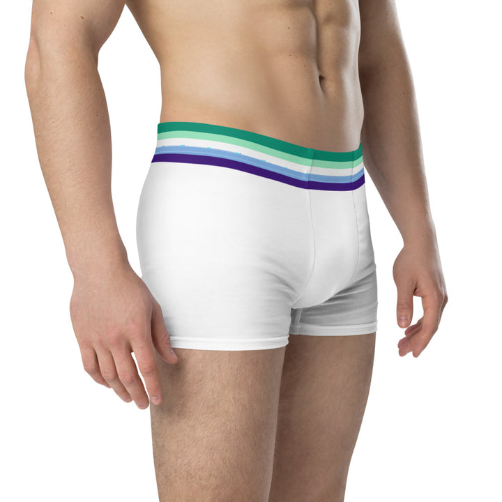 Gay Men Flag Trim Boxer Briefs Underwear The Rainbow Stores