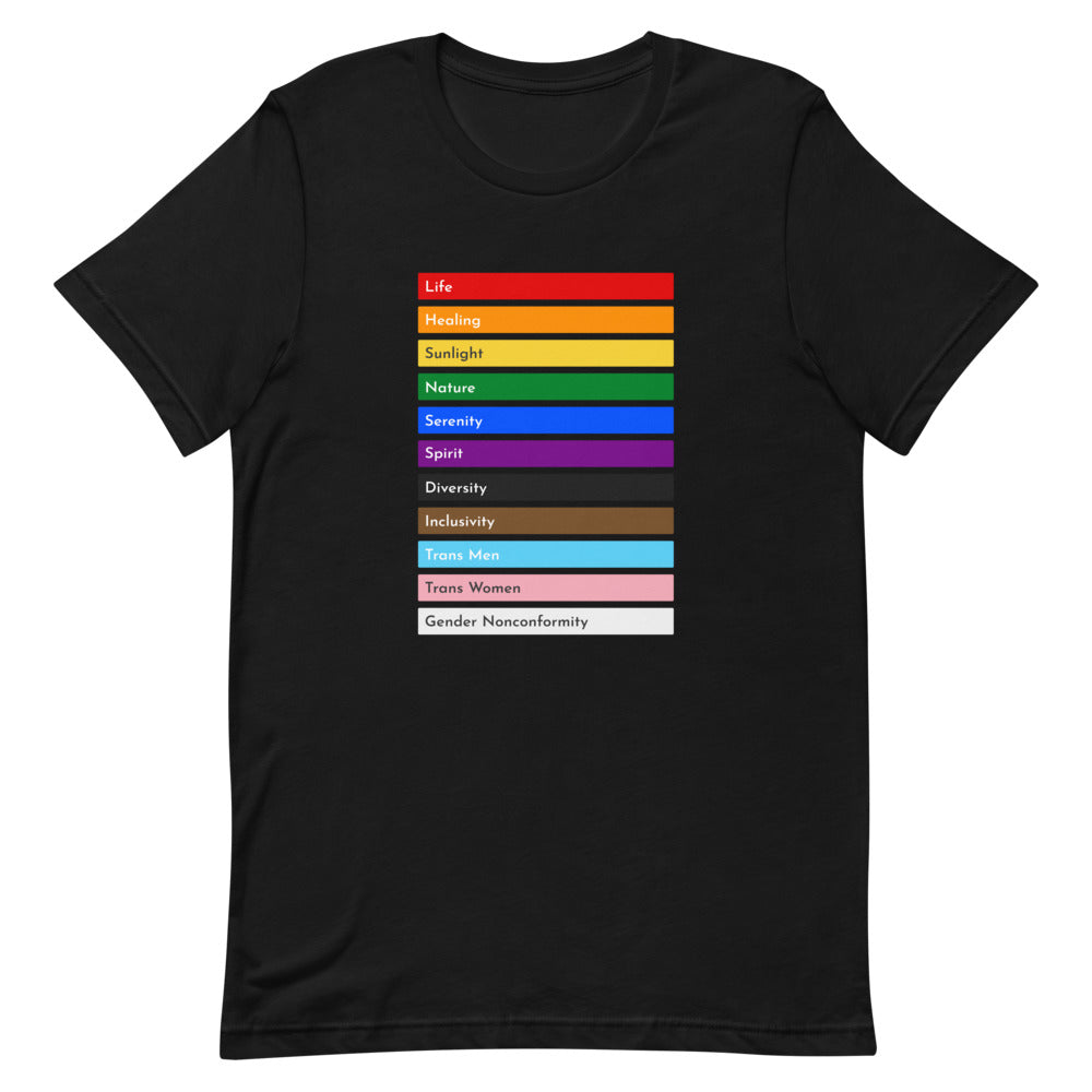 The Meaning Of Pride T-shirt T-shirts The Rainbow Stores